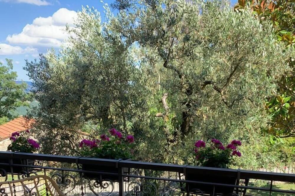 Photo of Patio Balcony in Caprese Michelangelo