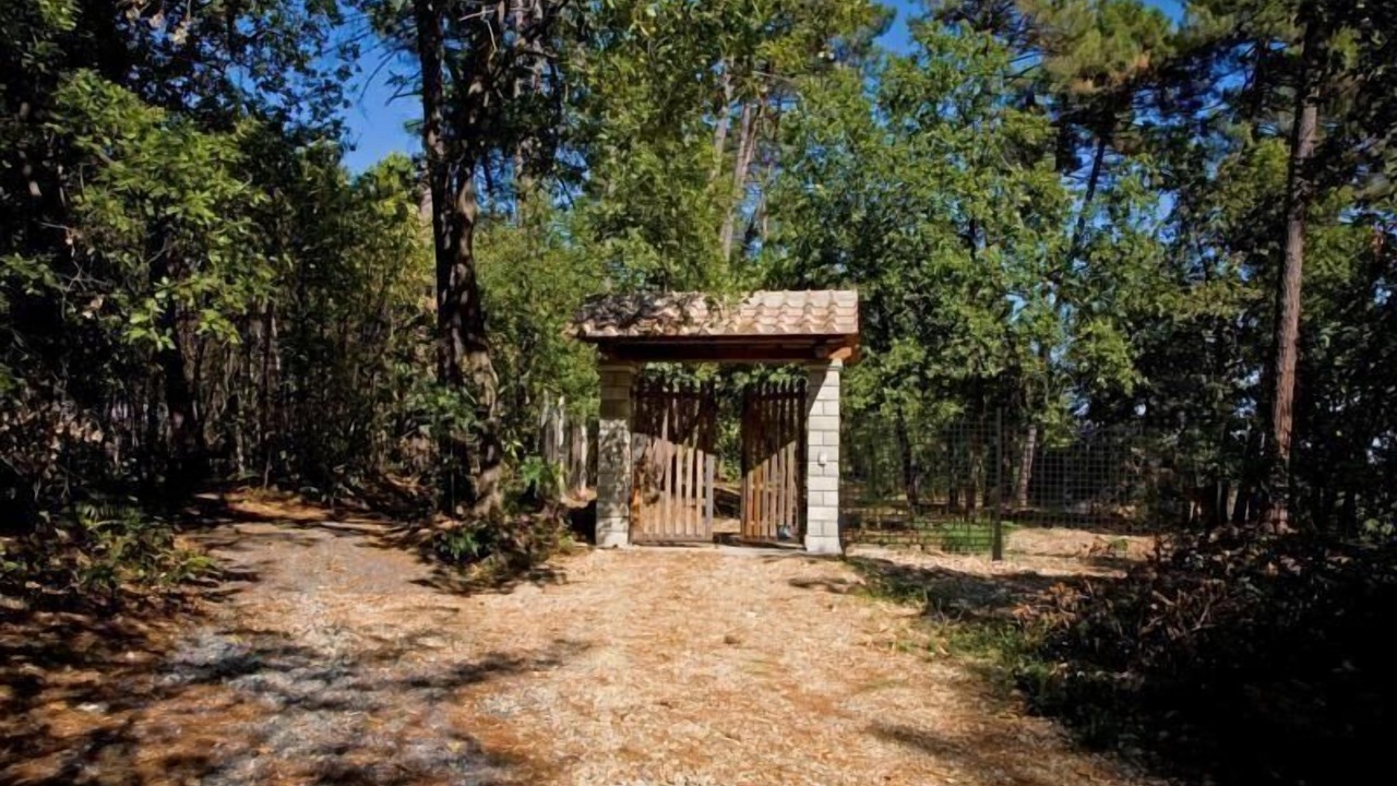 Photo of Outdoor in Poppi