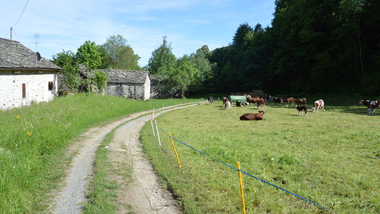 Photo of Outdoor in Vico Canavese