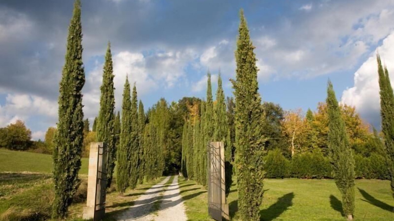 Photo of Outdoor in Pratovecchio