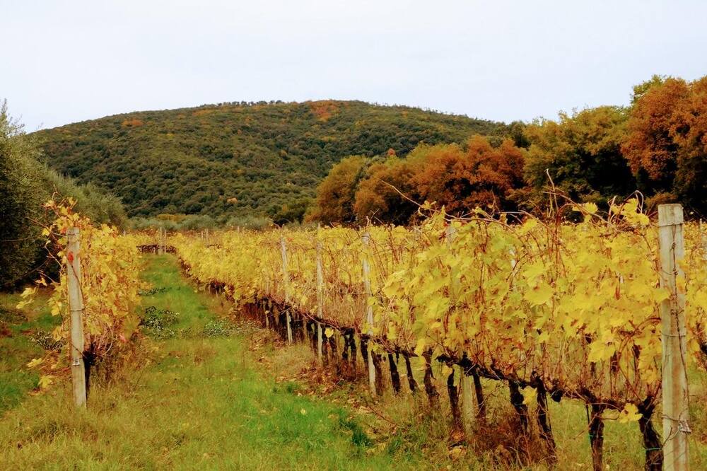 Photo of Outdoor in Magione