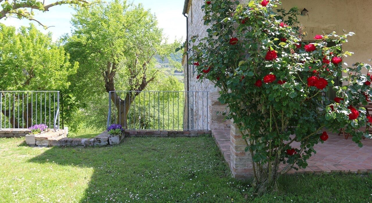 Photo of Outdoor in Arcevia