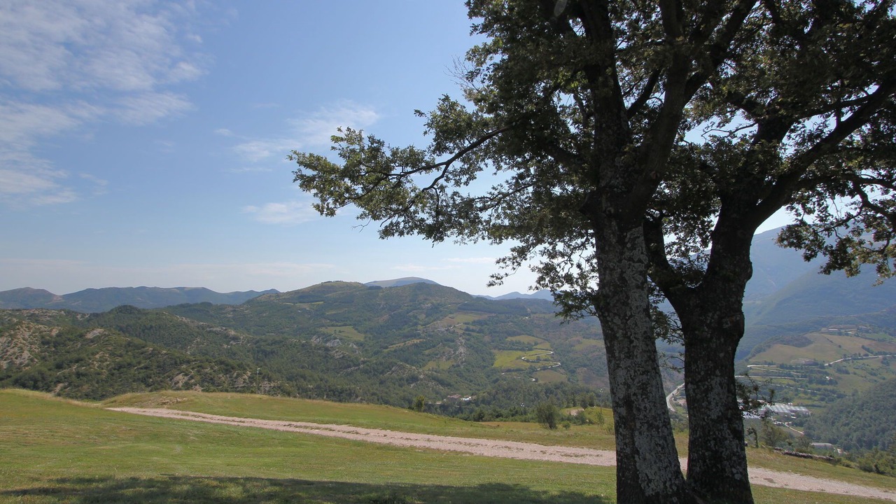 Photo of Others in Apecchio