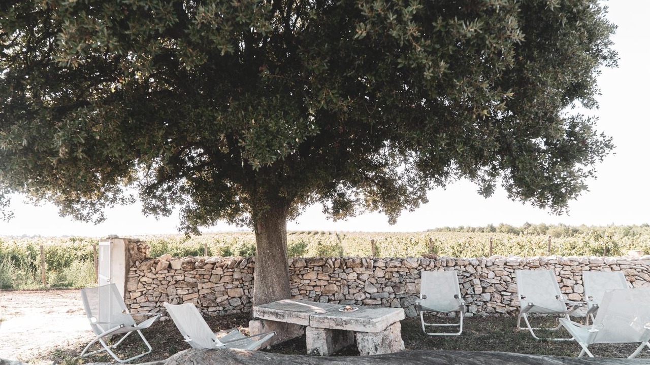 Photo of Patio Balcony in Montegrosso