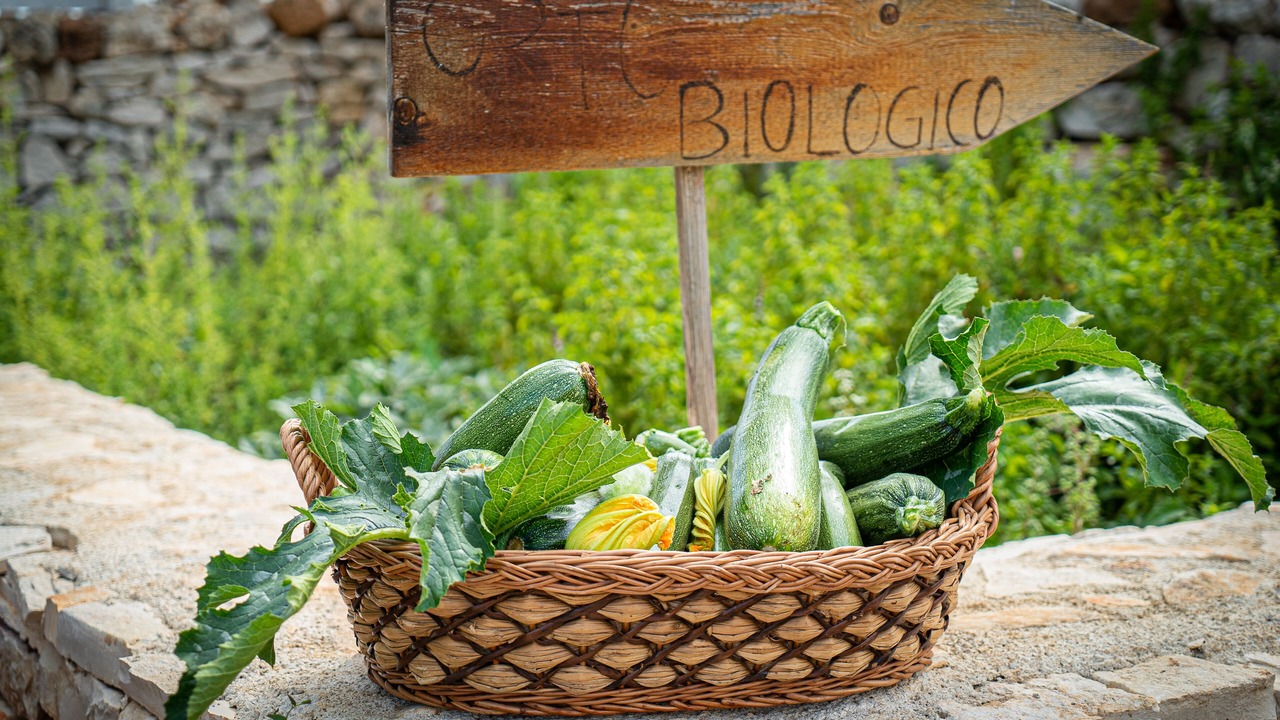 Photo of Outdoor in Montegrosso