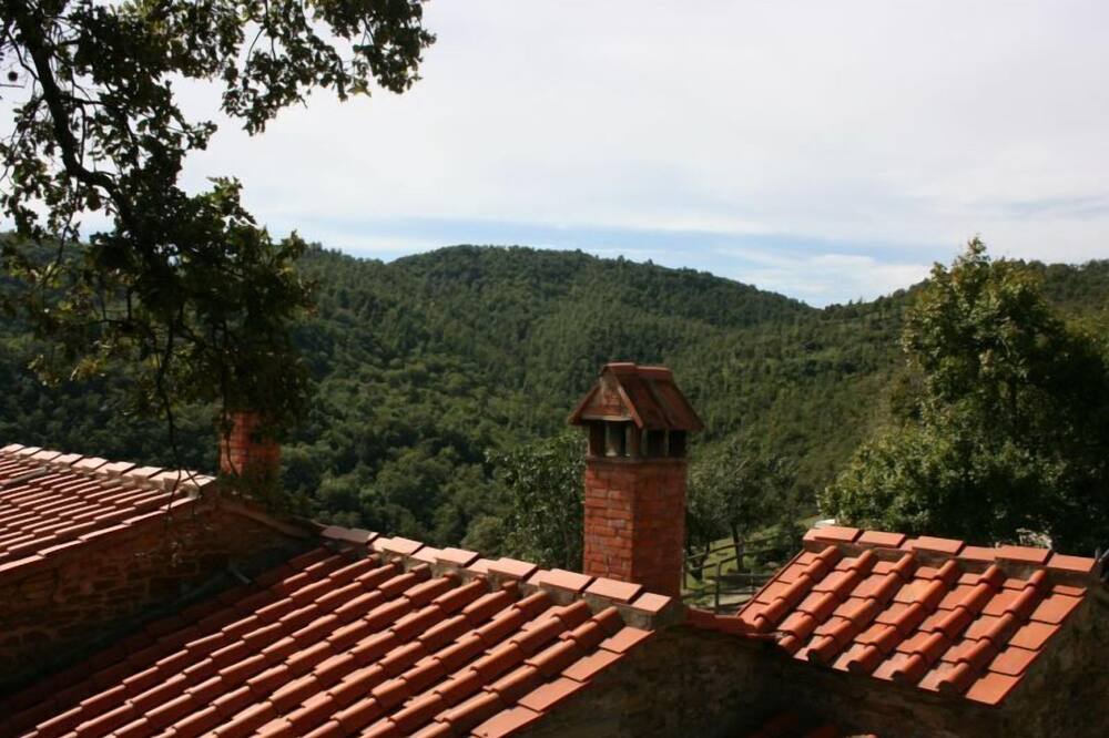 Photo of Others in Arezzo