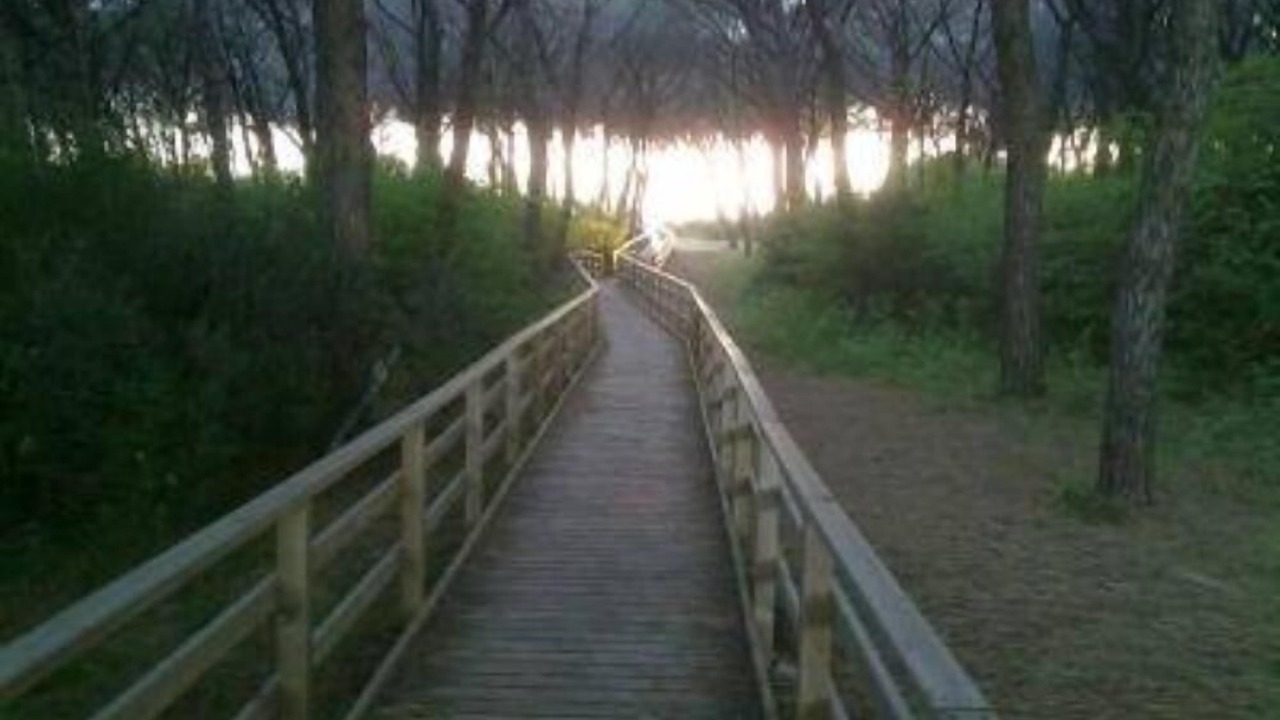 Photo of Outdoor in Puntone