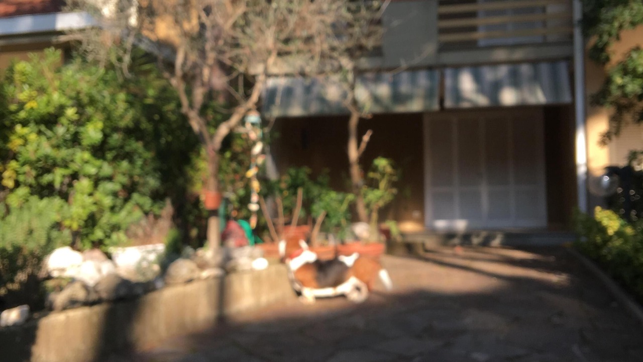 Photo of Outdoor in Principina a Mare