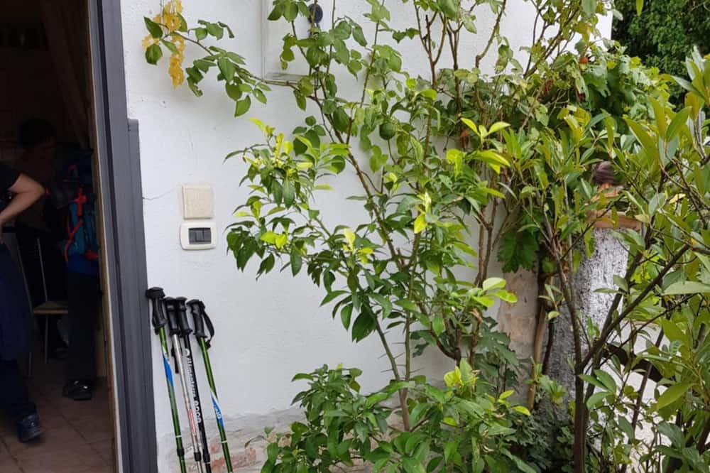 Photo of Outdoor in Toffia
