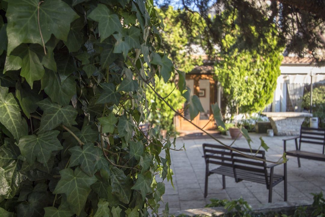 Photo of Outdoor in Montegrosso