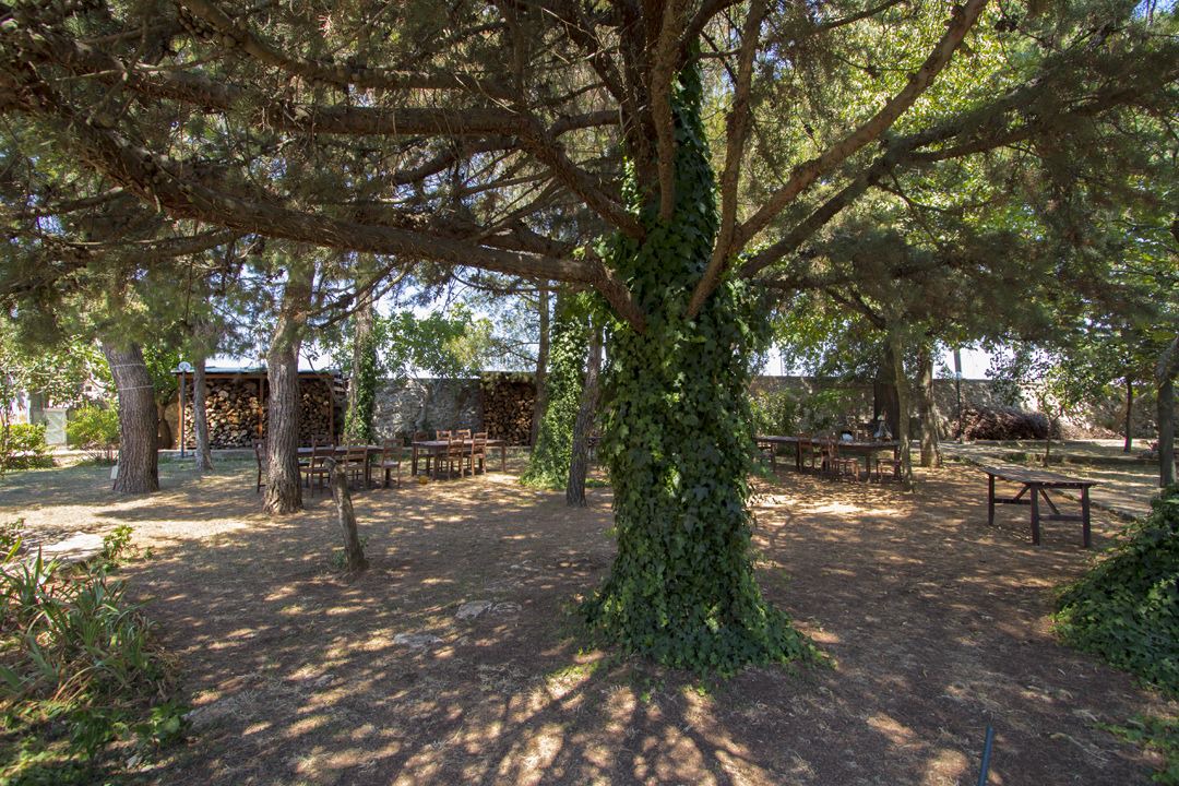 Photo of Outdoor in Montegrosso