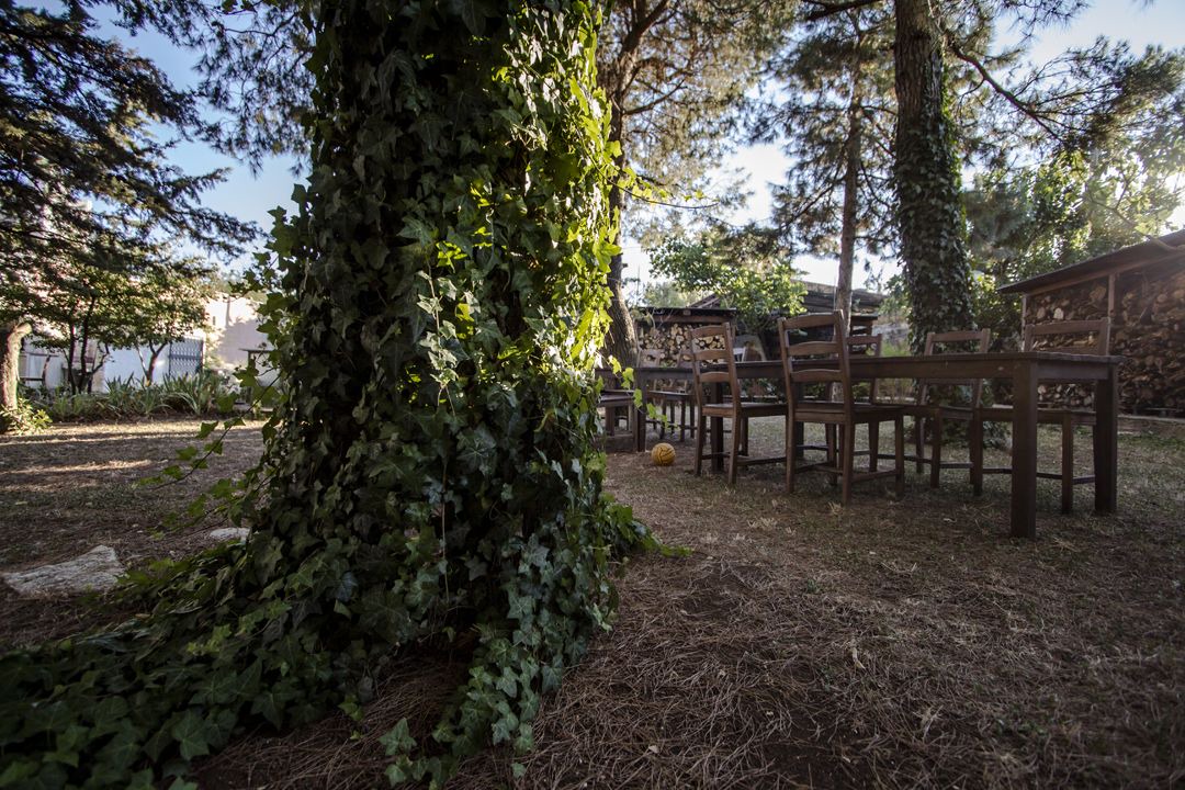 Photo of Outdoor in Montegrosso