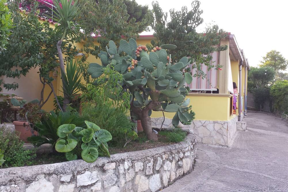 Photo of Outdoor in Chiesiola