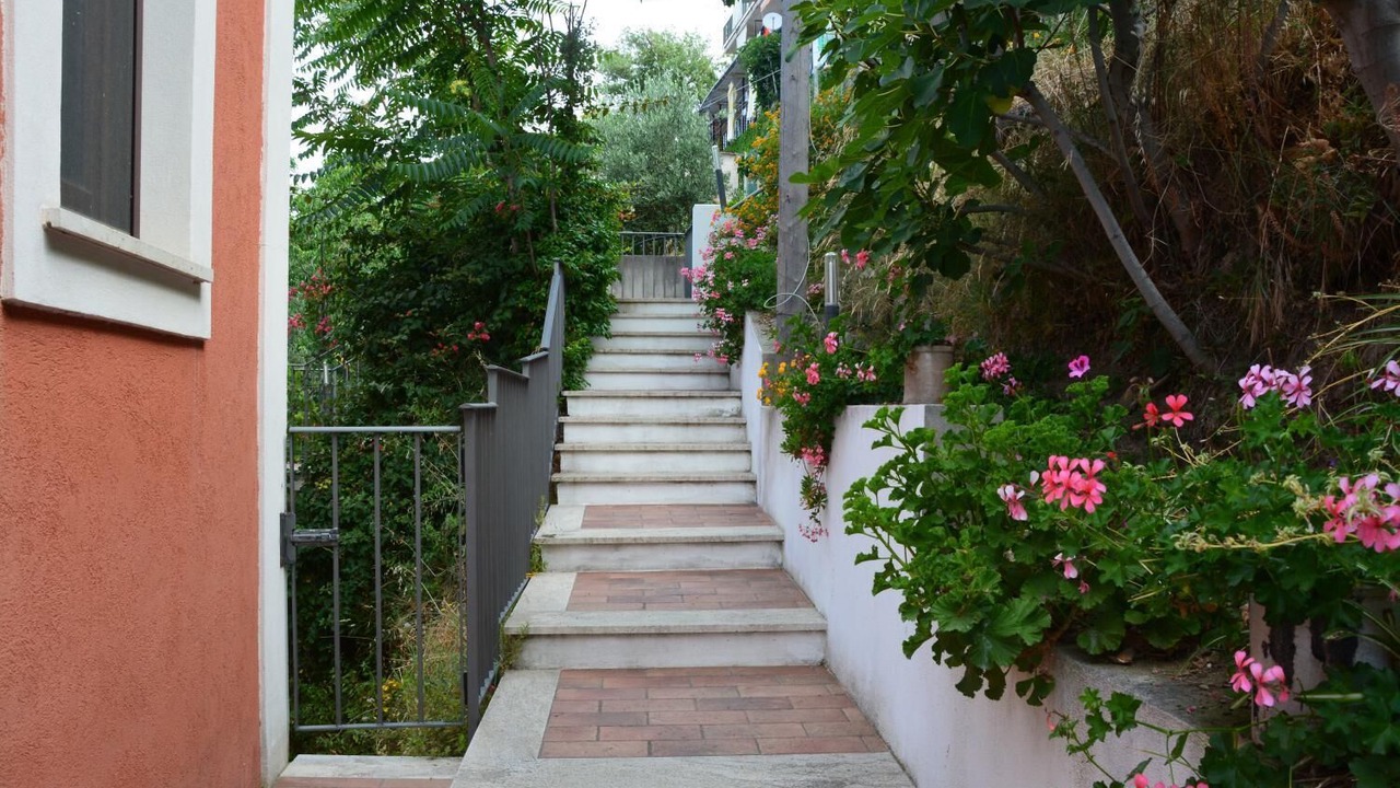 Photo of Outdoor in Paola