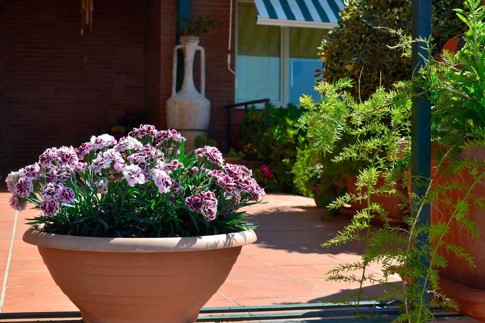 Photo of Outdoor in Minturno