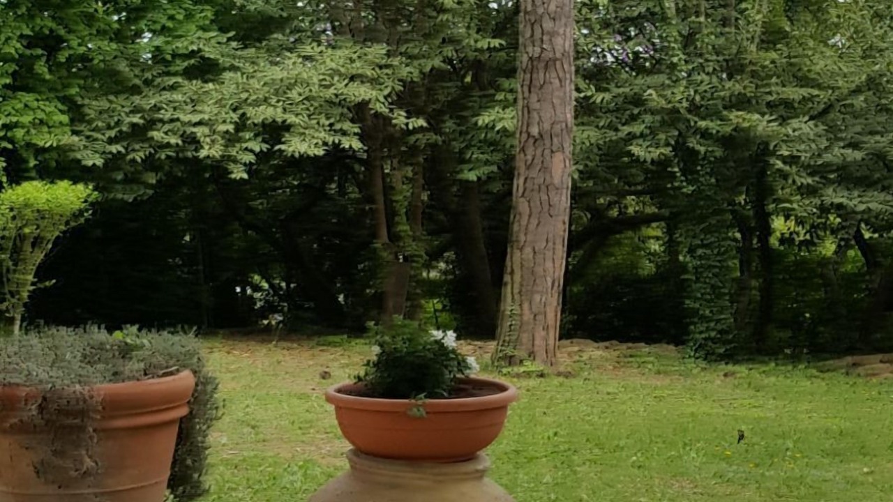 Photo of Outdoor in Lidarno