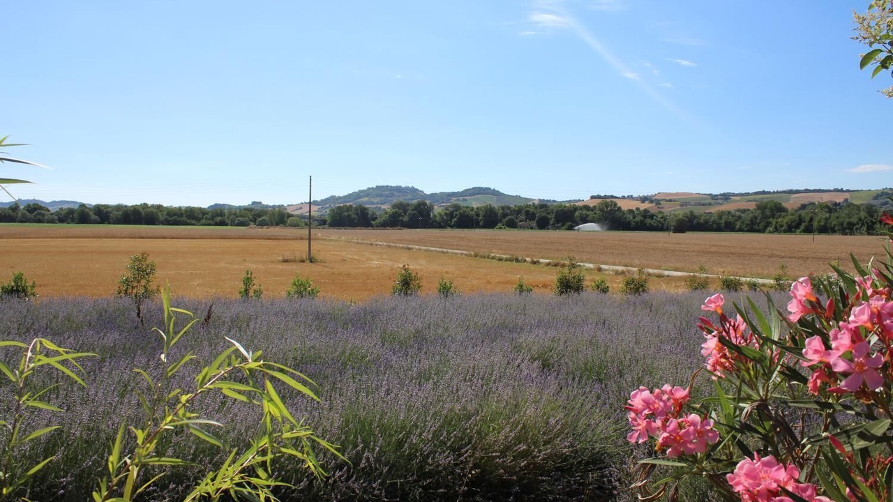 Photo of Outdoor in Acquesalate
