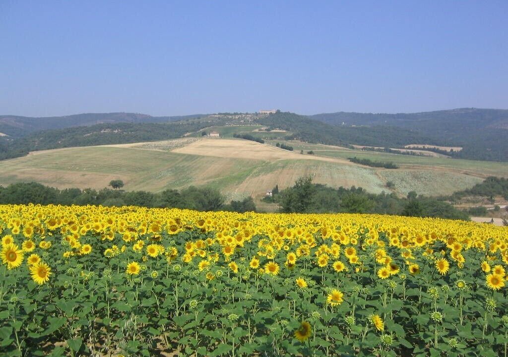 Photo of Outdoor in Collazzone