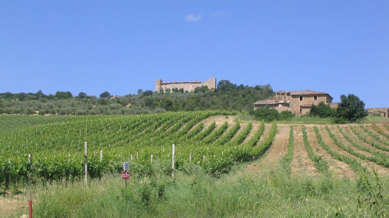 Photo of Outdoor in Collazzone