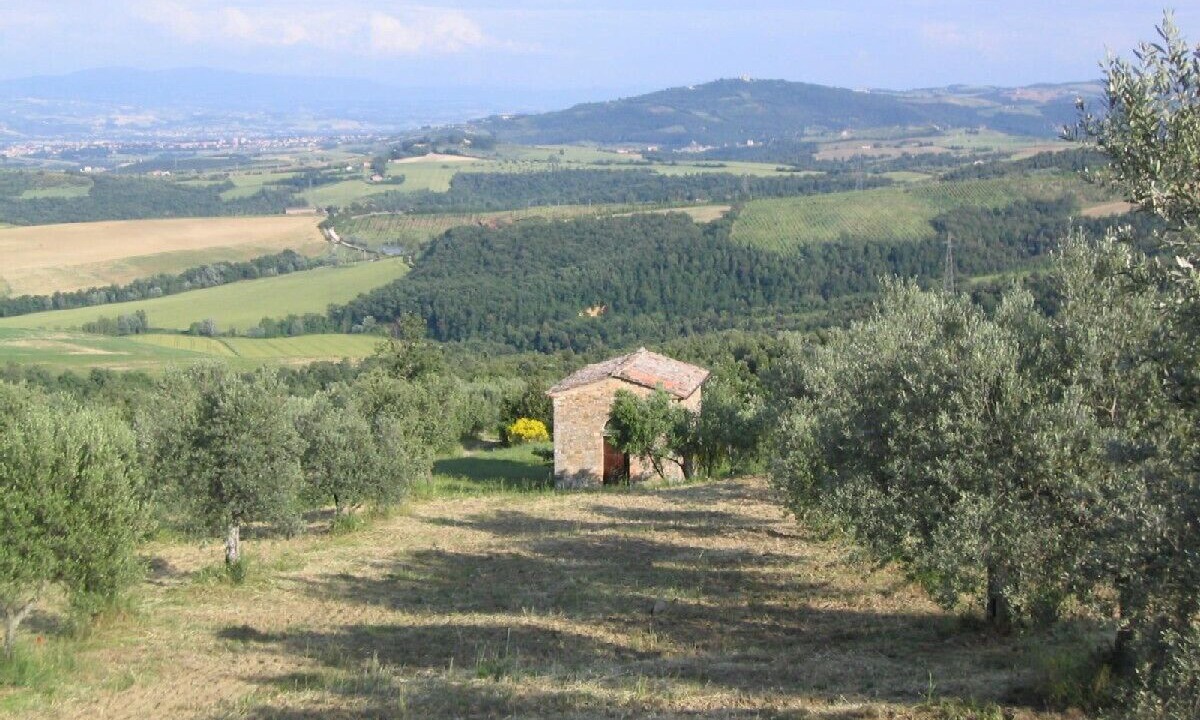 Photo of Outdoor in Collazzone