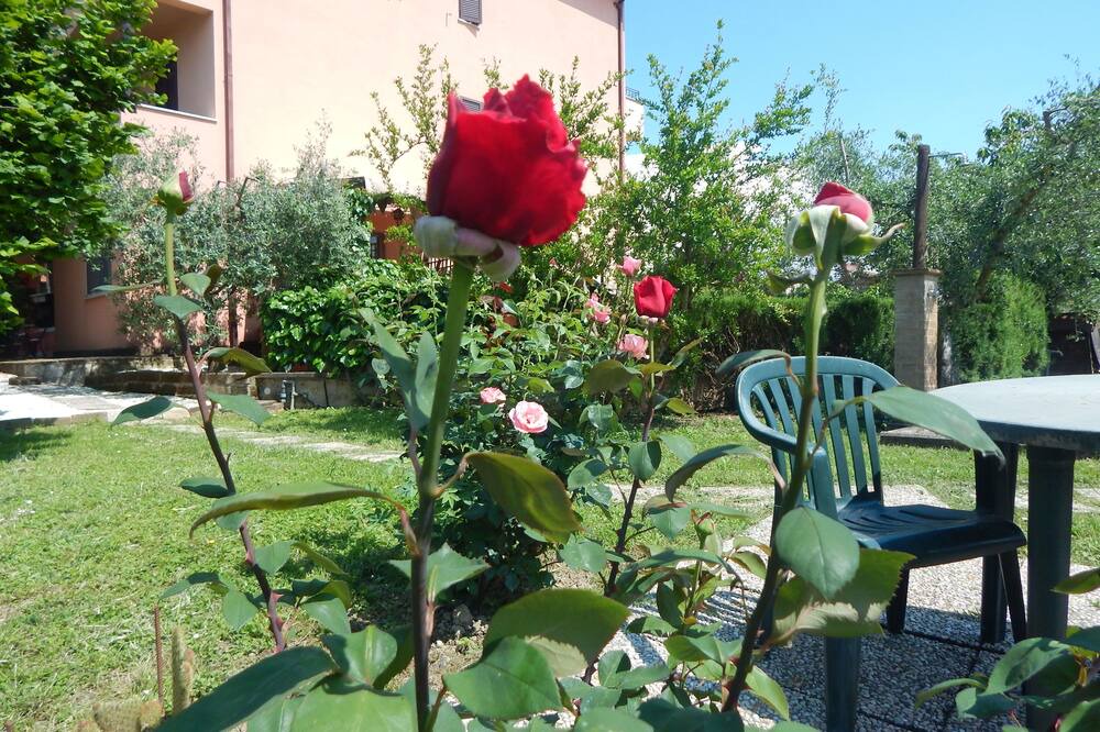 Photo of Outdoor in Cannara