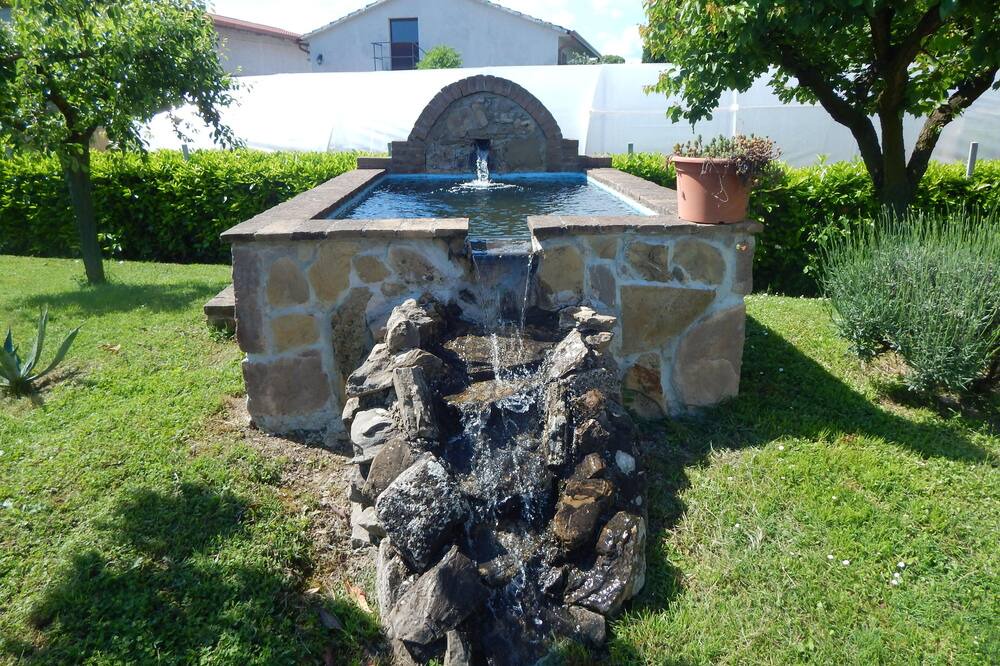 Photo of Outdoor in Cannara