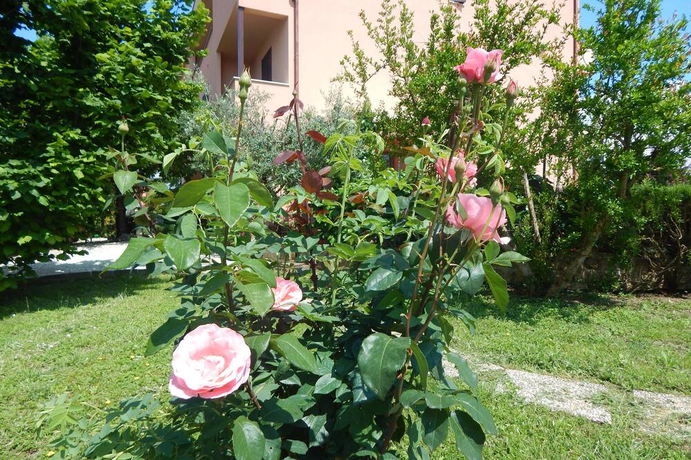Photo of Outdoor in Cannara