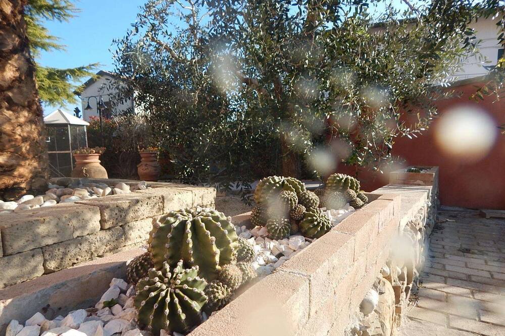Photo of Outdoor in Cannara