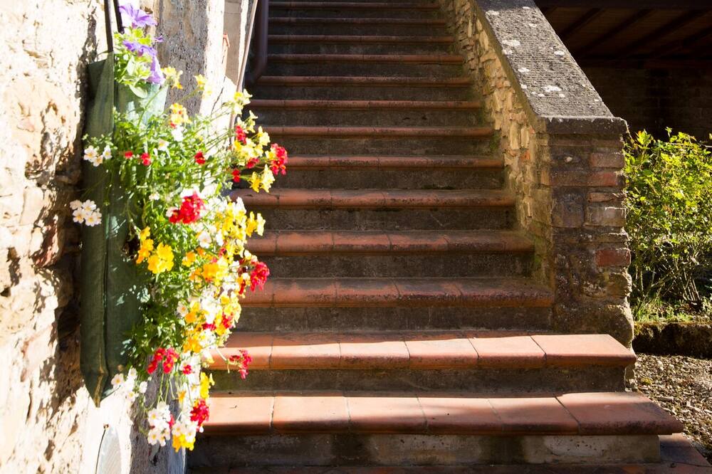 Photo of Outdoor in Badia Petroia
