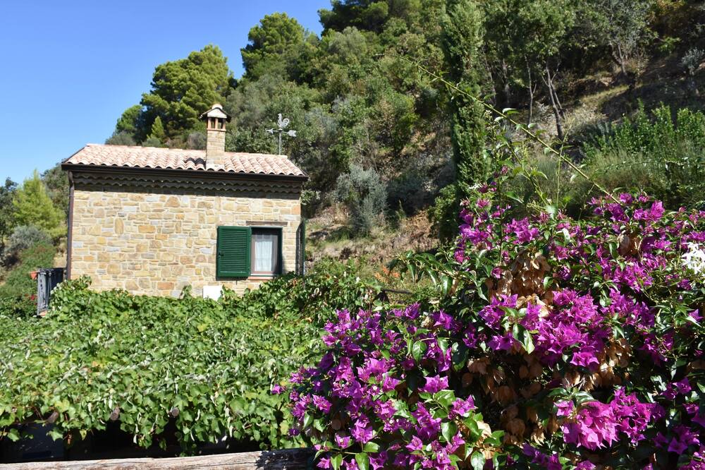 Photo of Outdoor in Castellabate