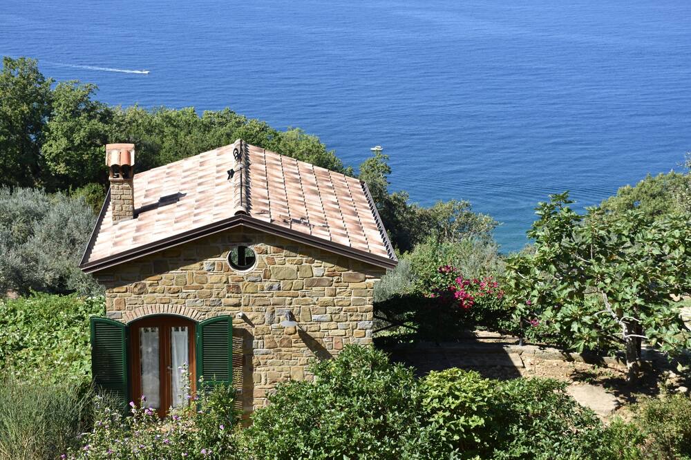 Photo of Outdoor in Castellabate