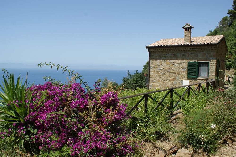 Photo of Outdoor in Castellabate