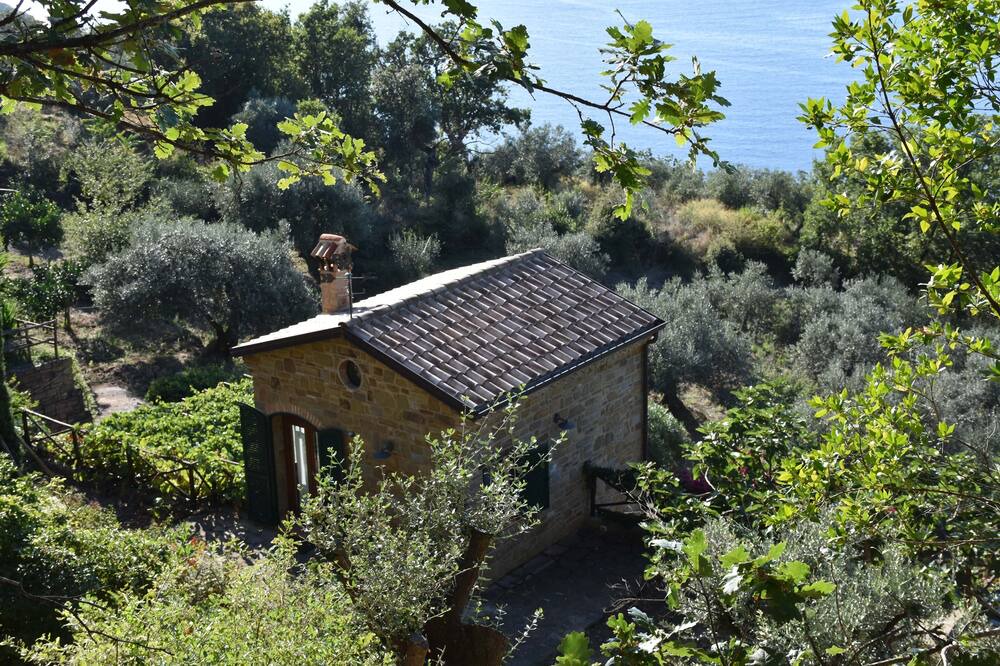 Photo of Outdoor in Castellabate