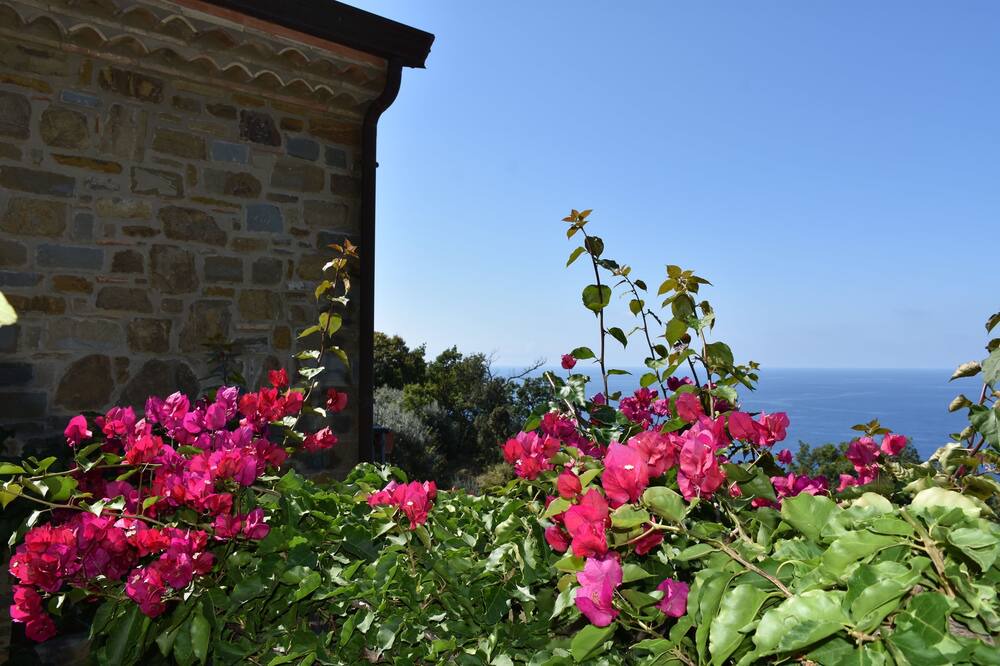 Photo of Outdoor in Castellabate