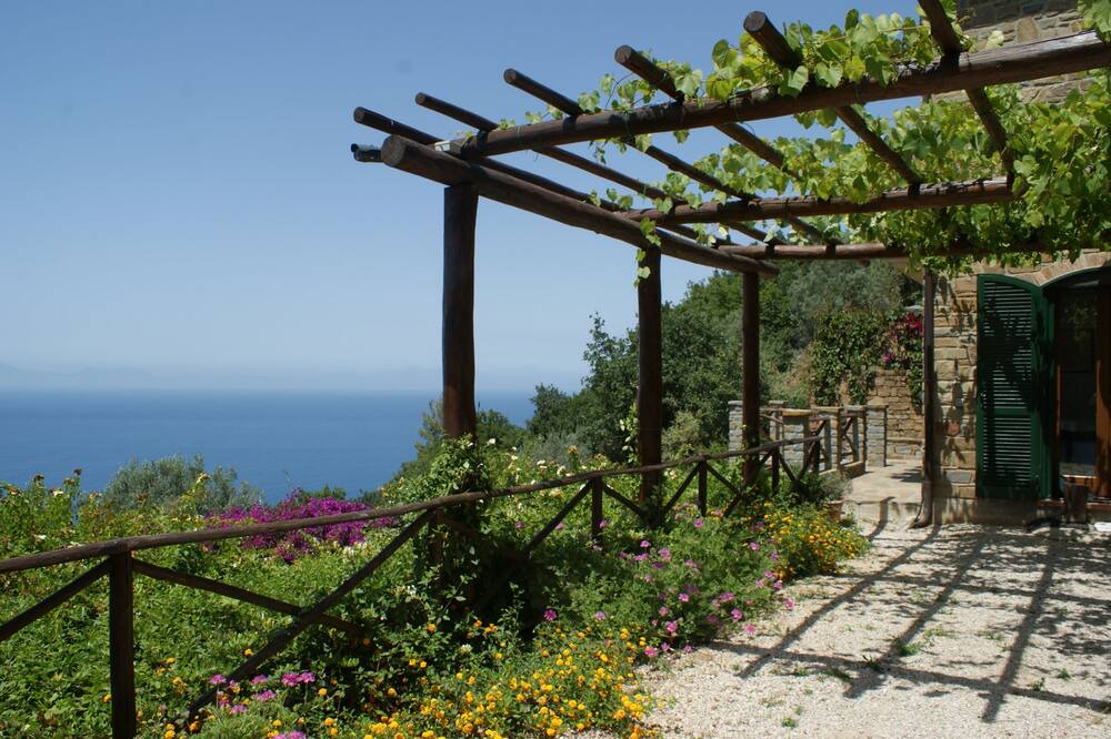 Photo of Outdoor in Castellabate