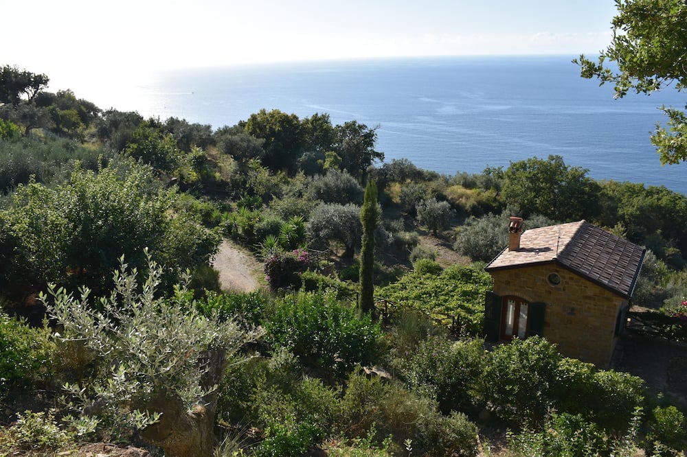 Photo of Outdoor in Castellabate