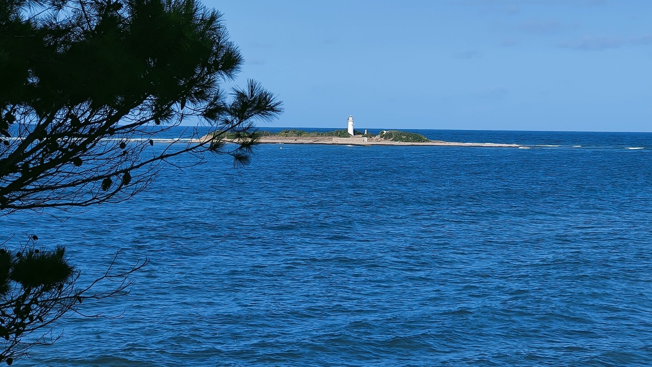 Photo of Others in Santa Maria di Castellabate