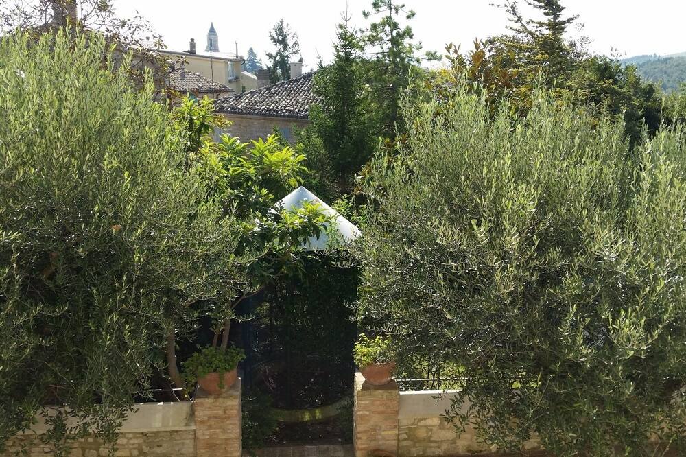 Photo of Outdoor in Avenale