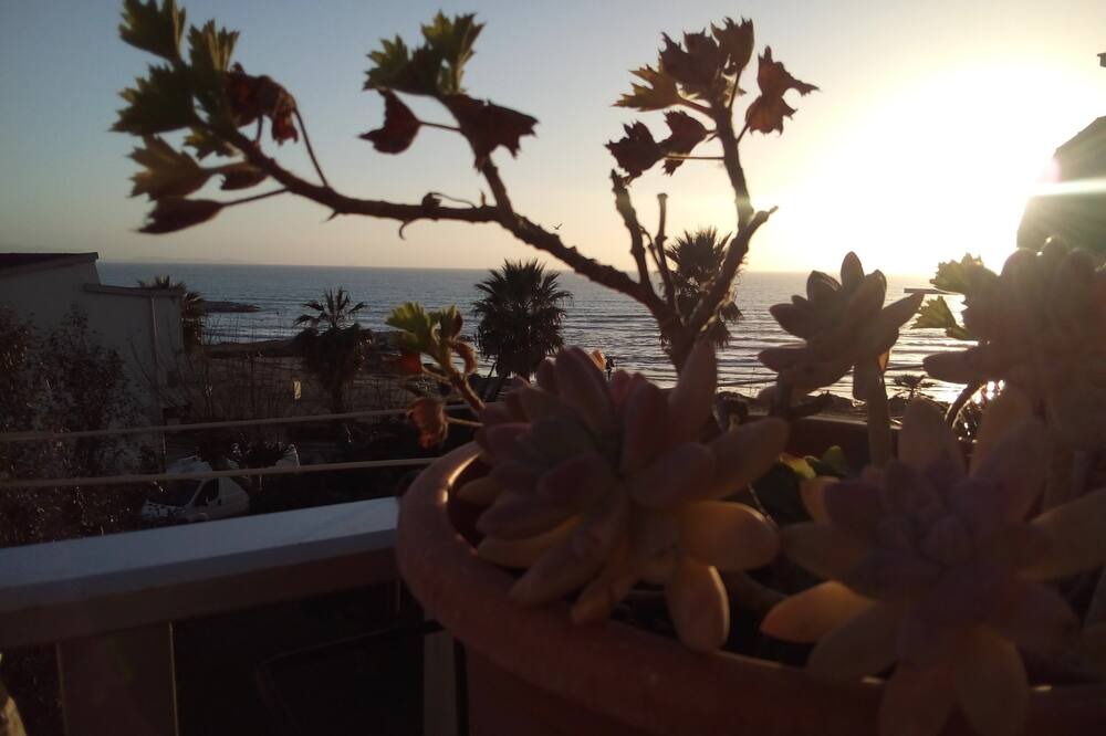 Photo of Others in Follonica