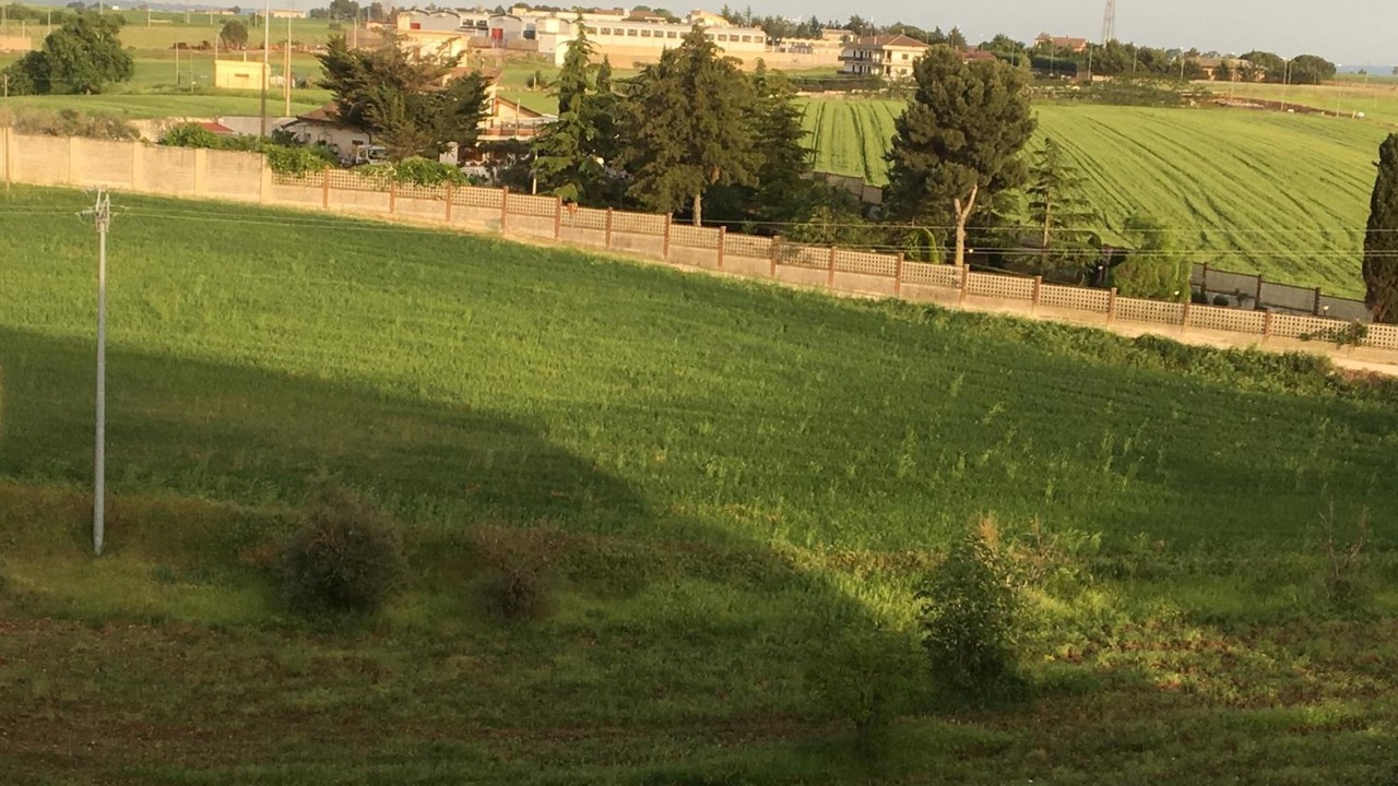 Photo of Outdoor in Spinazzola