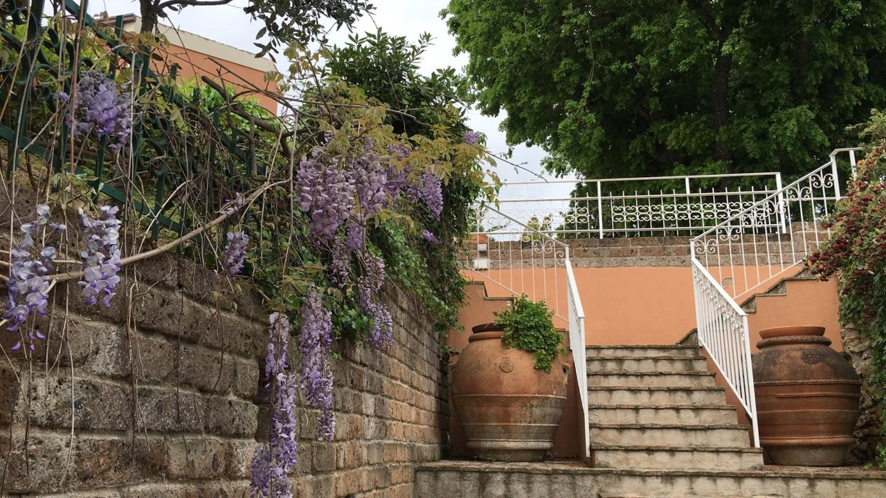 Photo of Outdoor in Civitanova Alta