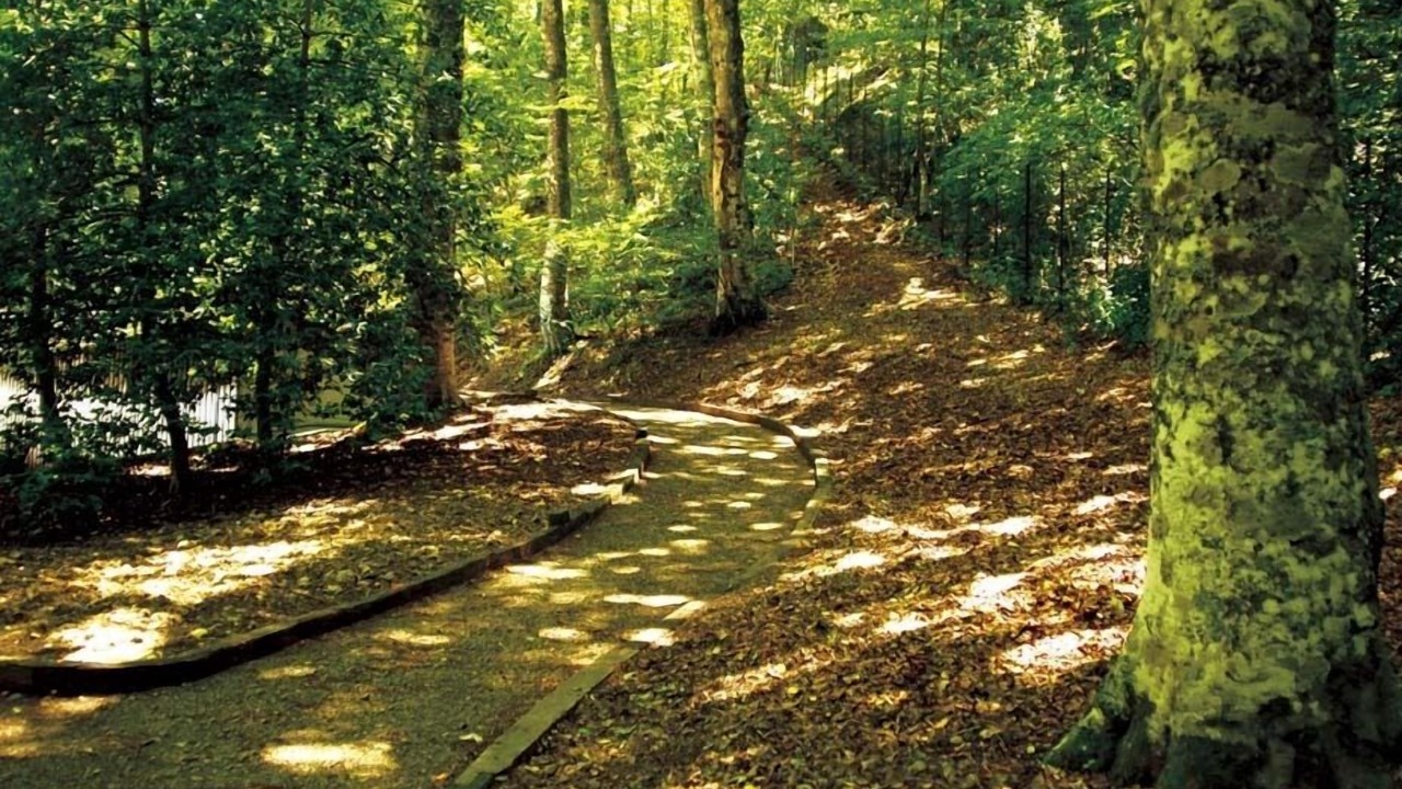 Photo of Outdoor in Rifreddo