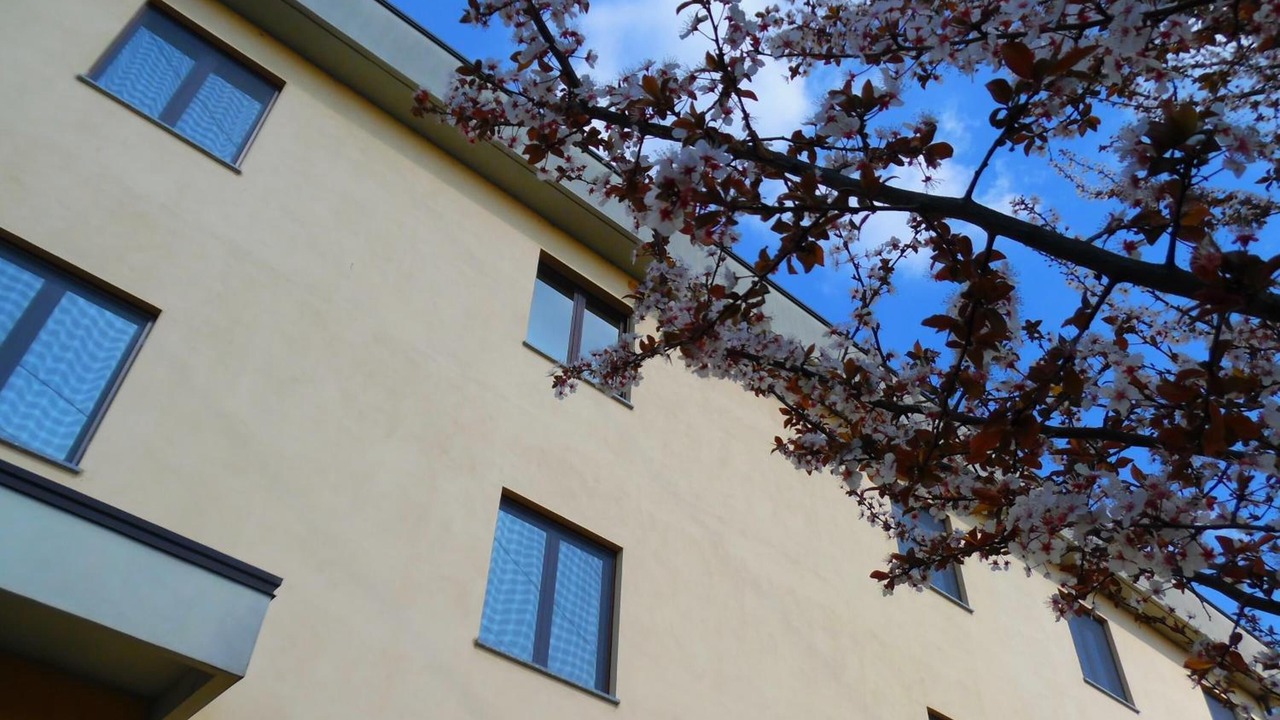 Photo of Outdoor in San Giuliano Milanese