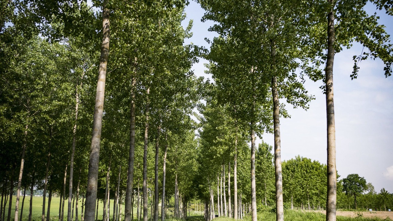 Photo of Outdoor in Villanterio