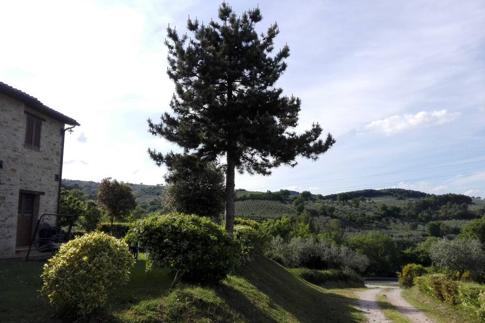 Photo of Outdoor in Cantalupo