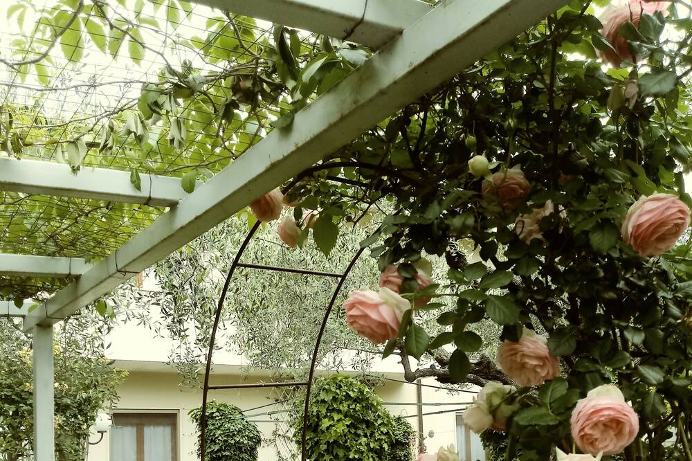 Photo of Outdoor in Tollo
