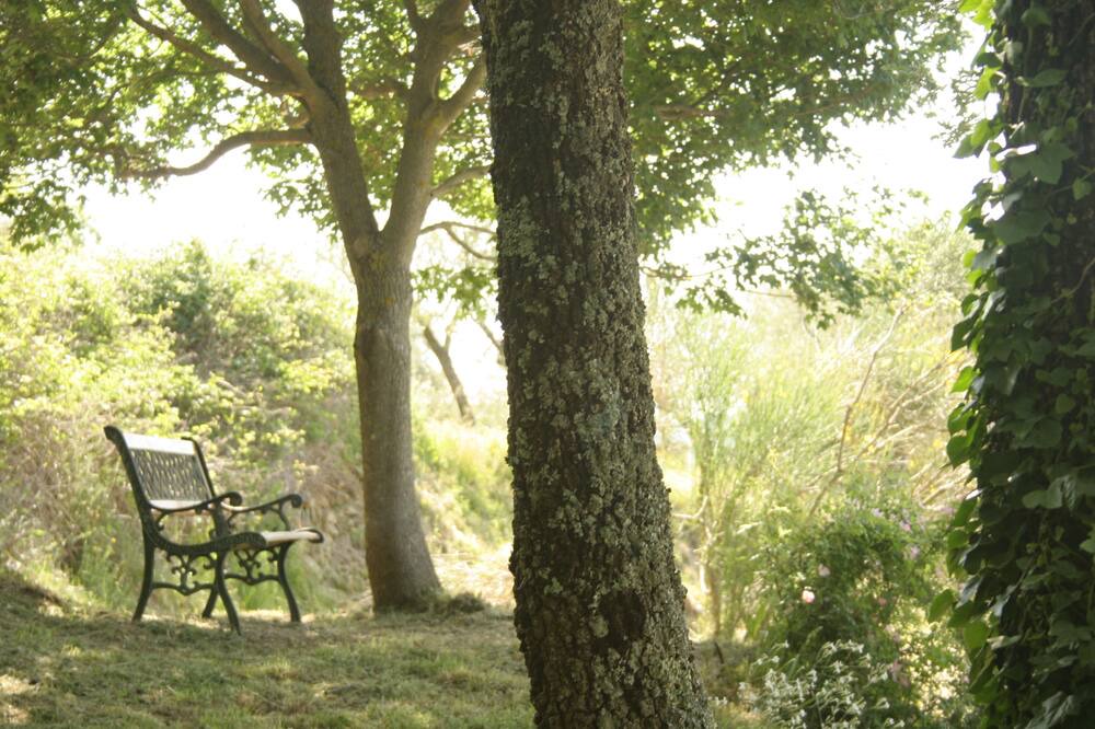Photo of Outdoor in Monte Santa Maria Tiberina