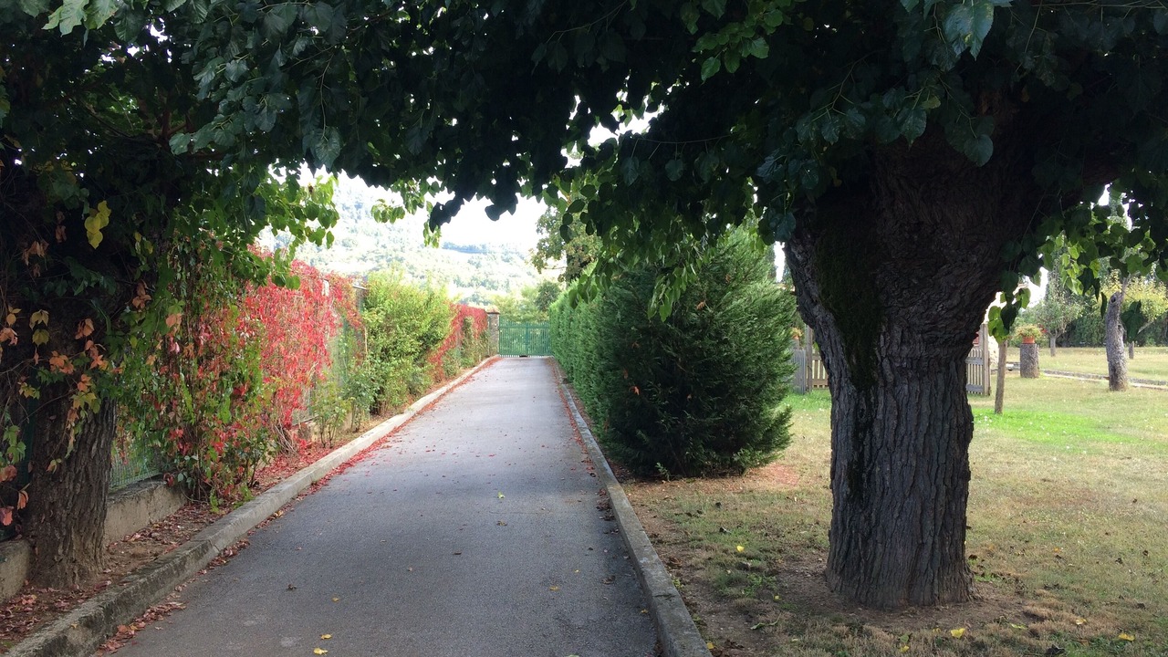 Photo of Outdoor in Mombaldone