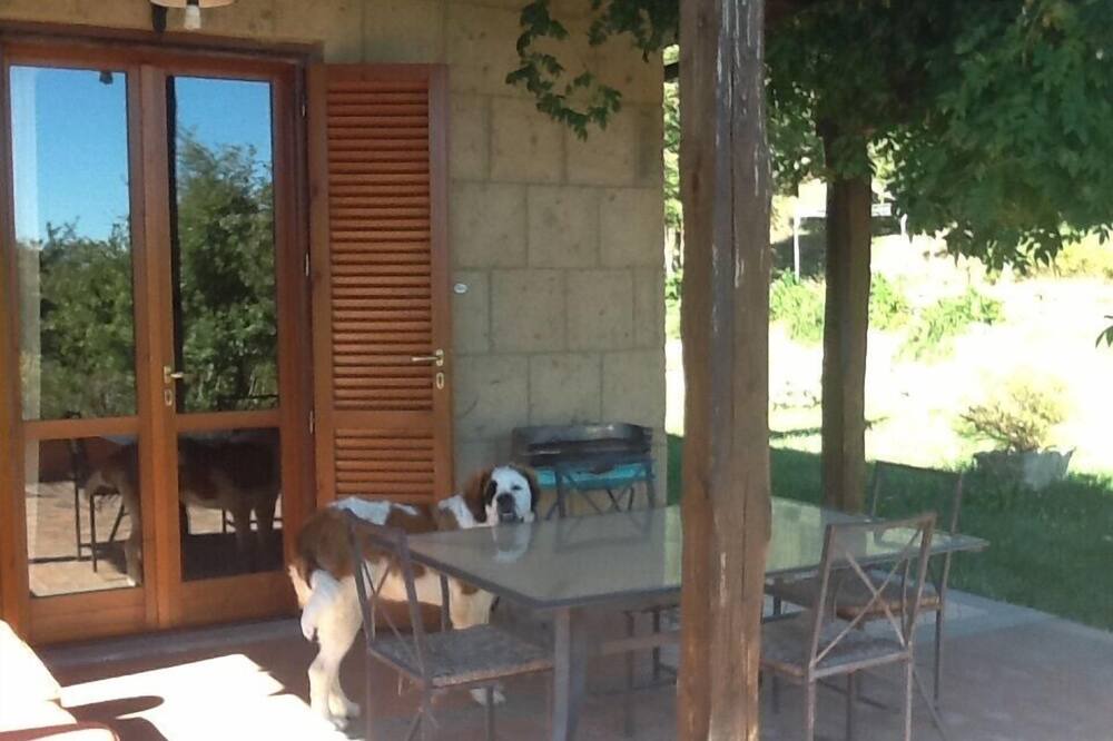 Photo of Patio Balcony in Elmo