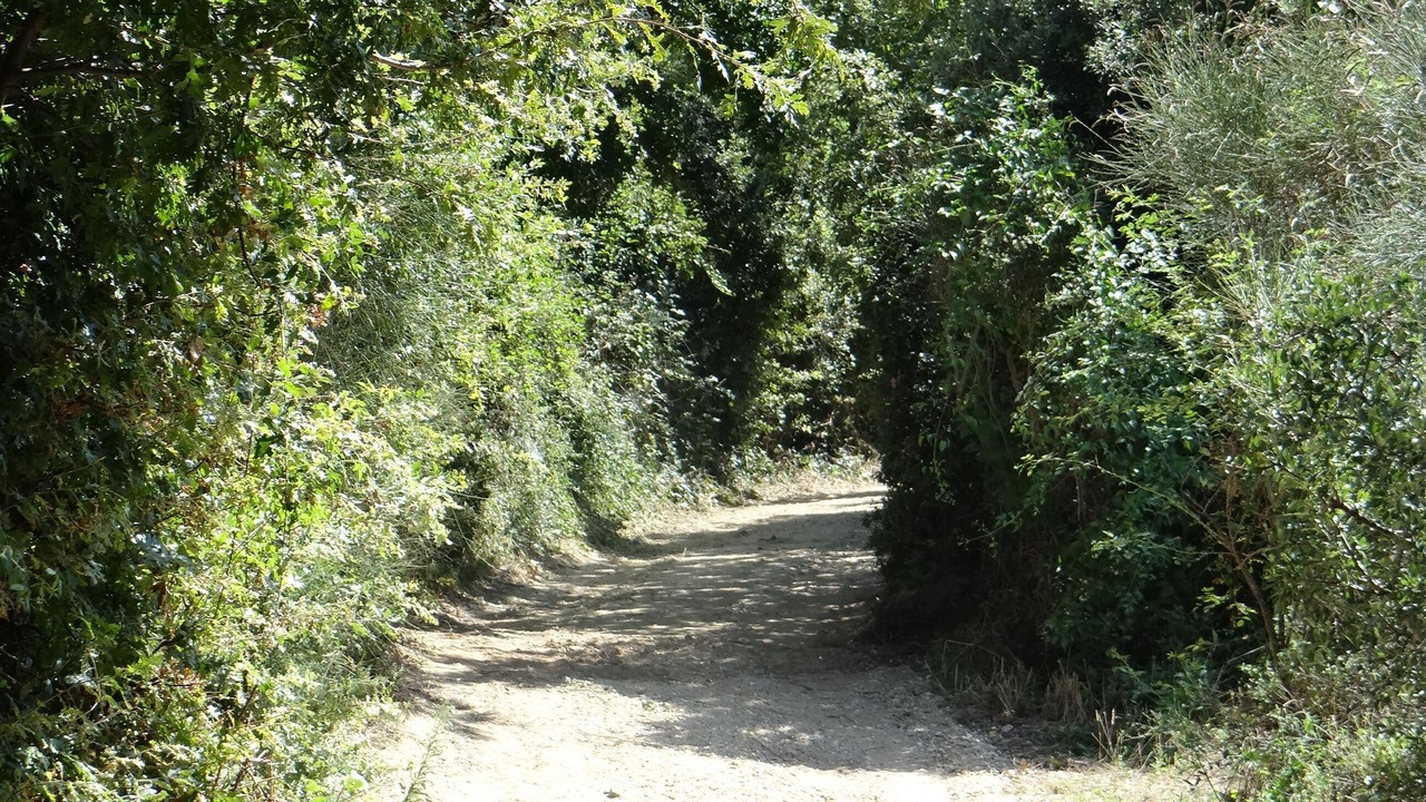 Photo of Outdoor in Scansano